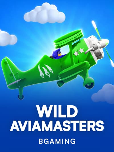 Game image for Wild Aviamasters