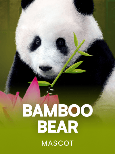 Game card image for Bamboo Bear
