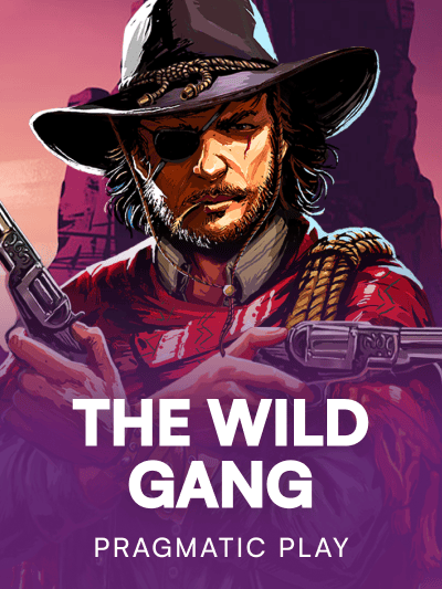 Game card image for The Wild Gang