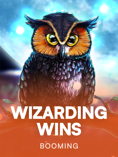 Game image for Wizarding Wins