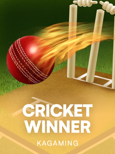 Game image for Cricket Winner