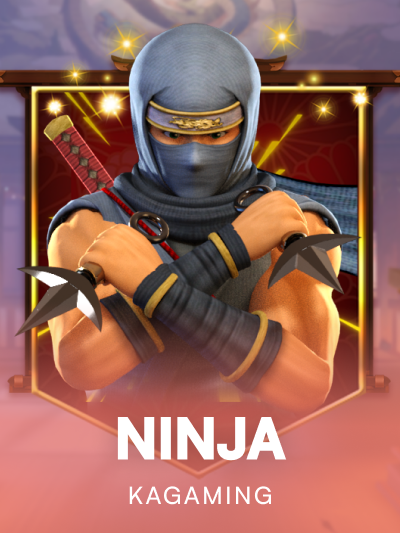Game image for Ninja