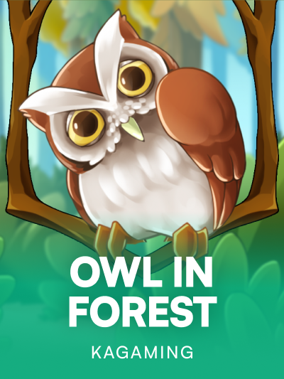 Game image for Owl In Forest