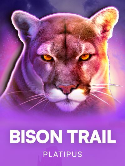 Game image for Bison Trail