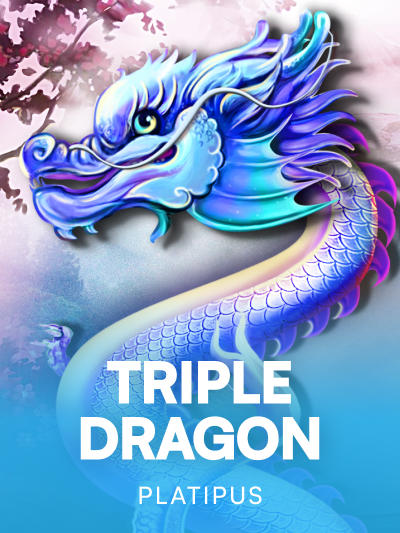 Game image for Triple Dragon