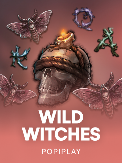 Game image for Wild Witches