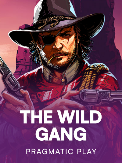 Game image for The Wild Gang