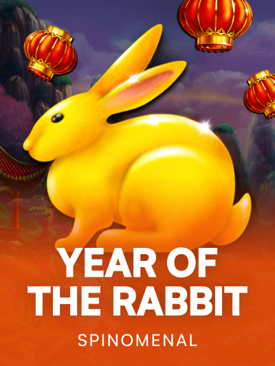 Game image for Year Of The Rabbit