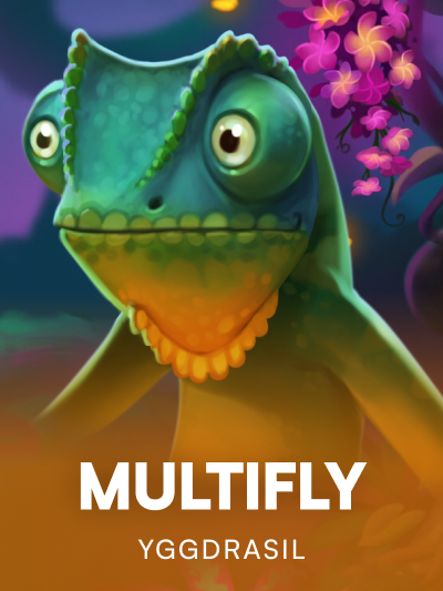 Game image for Multifly